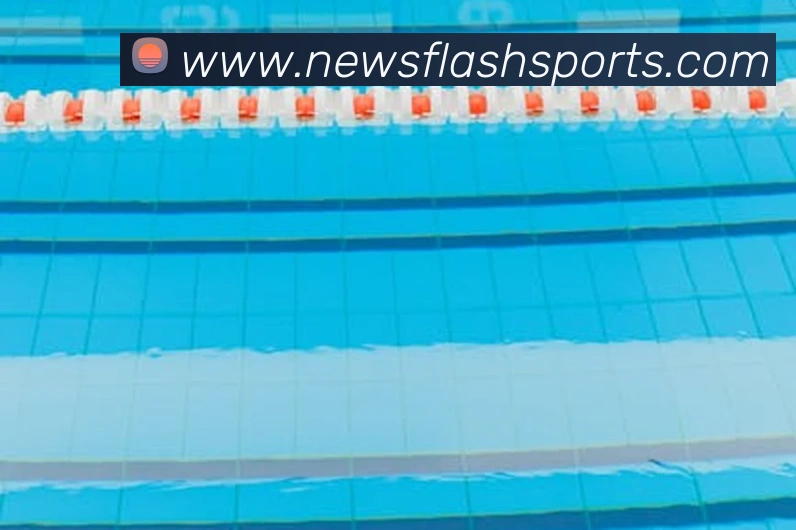 球赛投注服务体系